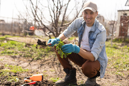 Farmer planting in the vegetable gardenの写真素材