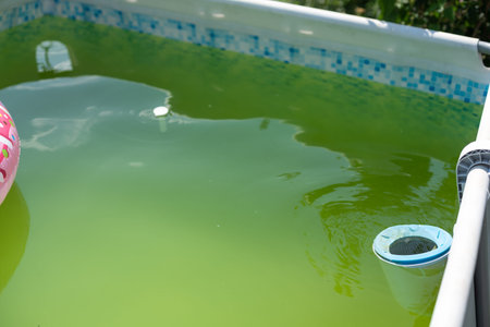 The water in the pool is rotten.