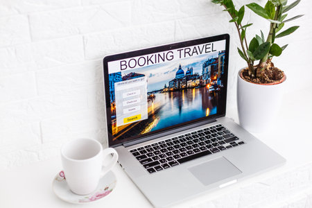 booking flight travel traveler search ticket reservation holiday air book research plan job space technology startup service professional now marketing equipment concept.の写真素材