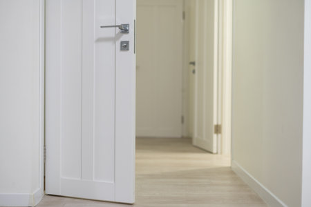 a bright corridor with dark doors and bright lighting. New houseの写真素材