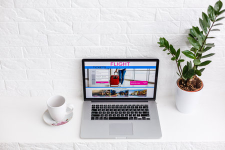 booking flight travel traveler search ticket reservation holiday air book research plan job space technology startup service professional now marketing equipment concept.の写真素材