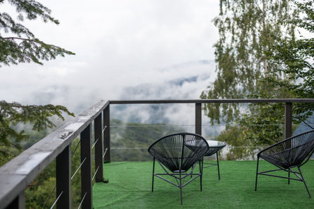 wood terrace with view of forestの写真素材