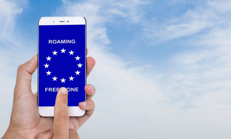 roaming on mobile phone. All screen graphics are made up