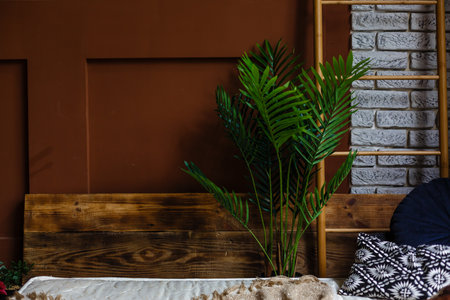 Fern leaves close-up natural backgroundの写真素材