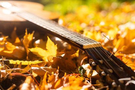 Guitar leaned on a tree in the fall surrounded by yellow leavesの写真素材