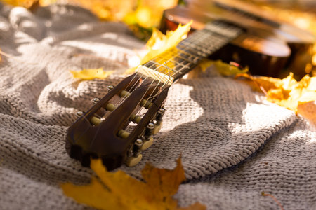 yellow maple leaves lie on a guitar on a plaid in the park. side view. autumn.の写真素材