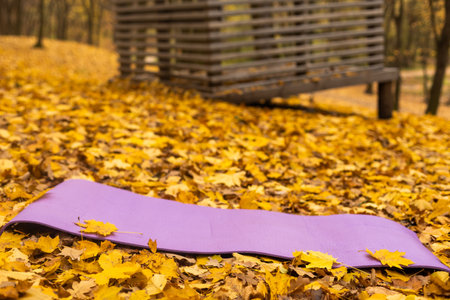 yoga mat in colorful autumn forest, beautiful workout outdoorsの写真素材