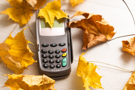dry autumn leaves and POS terminalの写真素材