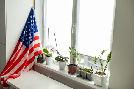 Interior of stylish living room with USA flagの写真素材