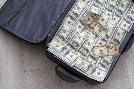 The moneys in the suitcase. U.S. dollars cash in a suitcase. High quality photo