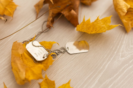 dry autumn leaves and a military tag.