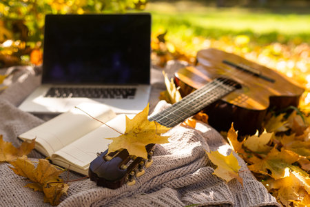 guitar on yellow leaves and laptopの写真素材
