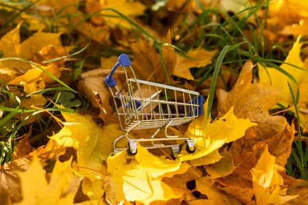 yellow leaves and a toy cart. Seasonal sale or fall discount dealの写真素材