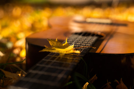 Guitar and autumn leaves background.の写真素材