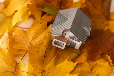 Golden autumn maple leaves and little toy houseの写真素材