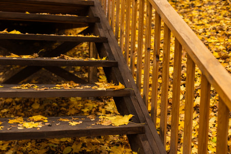 Stairs going uphill during autumn.の写真素材