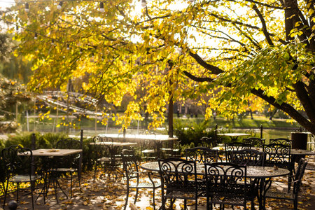 table and chairs of a street cafe in autumn leaves.の写真素材