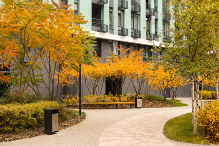 Streets of the city in autumn.