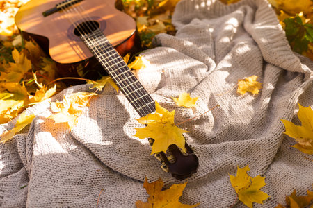 Autumn background with yellow leaves in the park and with a guitar.の写真素材