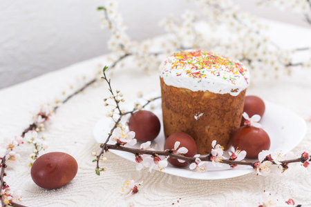 Easter cake and painted eggs blooming branch