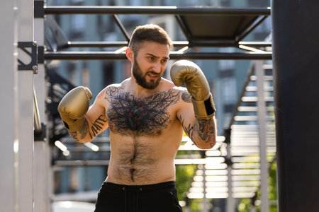 A fighter in the boxing gloves concept portrait