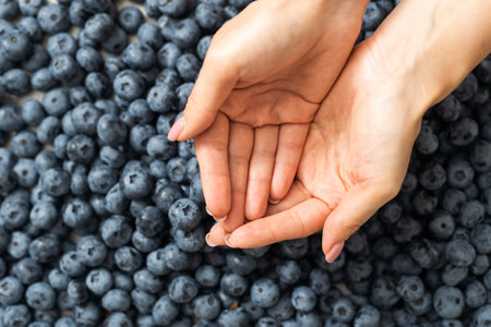 healthy eating, dieting, vegetarian food and people concept - close up of woman hands, blueberriesの写真素材