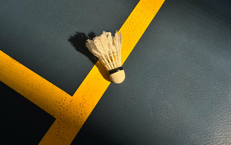 photo of shuttlecock to play badmintonの写真素材