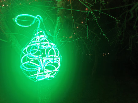 tree in the yard illuminated at nightの写真素材