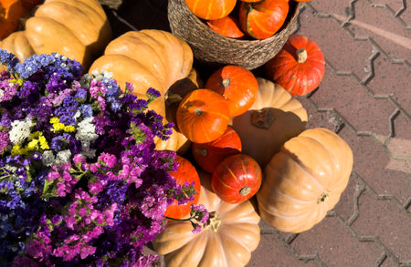 garden arrangement with pink autumn flowers, plants and pumpkinsの写真素材