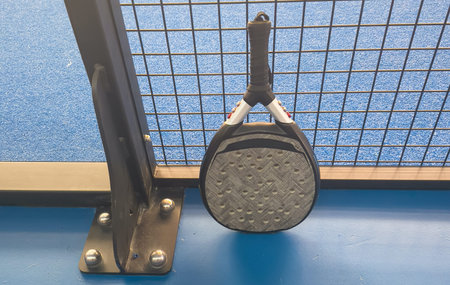 a paddle racket and ball on a court