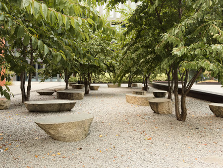 stone bench in a botanical garden park on a beautiful warm spring summer dayの写真素材