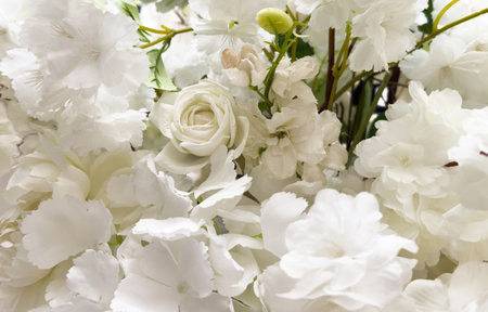 beautiful white flowers background, close up white flower petalsの写真素材