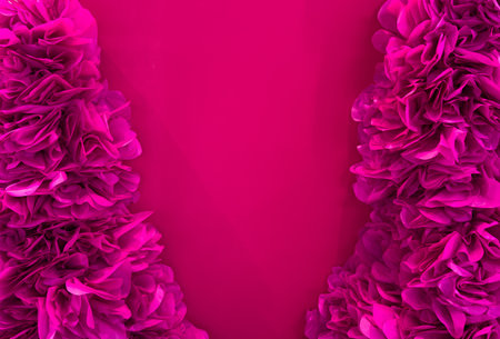 Pink floral assorted pink flower border on backgroundの写真素材