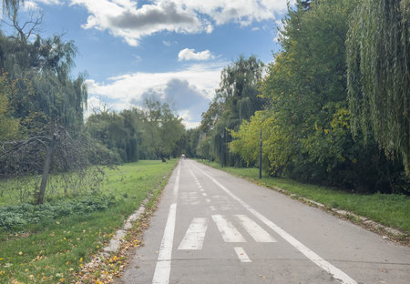 there is a road that is lined with trees and grass