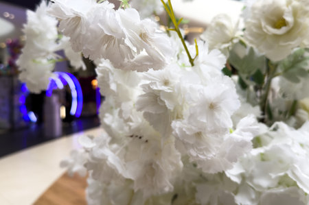 beautiful white flowers background, close up white flower petalsの写真素材