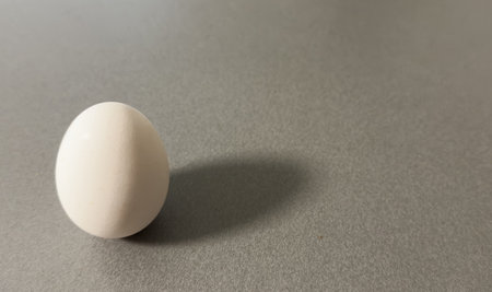 Close-up image of a single egg placed on a gray surface with a gradient light in a minimalistic setup.の写真素材