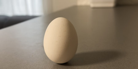 One white egg on background. Creative minimal concept.