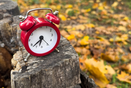 alarm clock on autumn leaves natural background