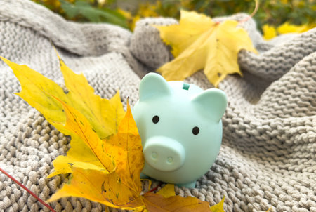 piggy Bank in autumn leaves on the ground. Autumn backgroundの写真素材
