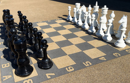 Big chess pieces in the parkの写真素材