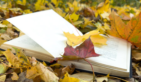 Open book on autumn park background. Book on a plaid with autumn fallen leaves on it.の写真素材