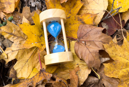 Hourglass with autumn leaves in park, closeup