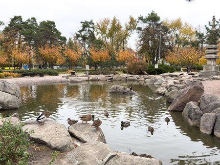 Autumn park path, cloudy sky and leavesの写真素材