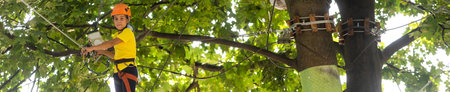 Brave kids climbs in rope park, playgroundの写真素材