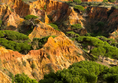 Rugged cliff with striated layers of orange and yellow sedimentary rock, dotted with hardy shrubs....
