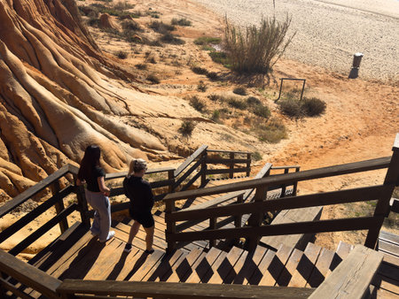 A wooden staircase with handrails leads to the ocean.