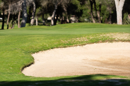 Green golf course under the golden glow of a setting sun. Sprinklers actively water the well-maintained grass showcasing an idyllic environment for relaxation and outdoor sports.の写真素材