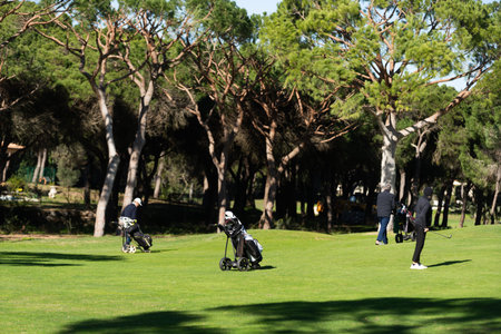 Golfers Playing on Sunny Green Course with Lush Treesの写真素材