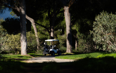 View of the moving cart on the golf courseの写真素材