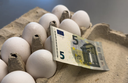 Eggs in a paper container with euro bills inside, representing the concept of egg prices and rising food costs.の写真素材
